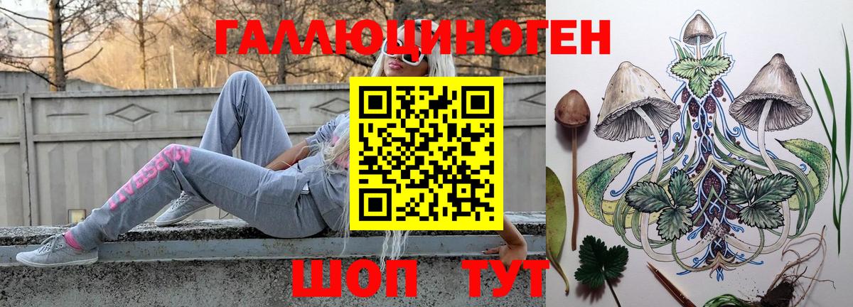 Галлюциногенные грибы Psilocybe Коломна