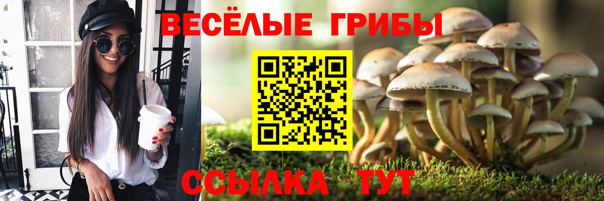 как найти закладки  Вход с VPN  Коломна  Галлюциногенные грибы прущие грибы 